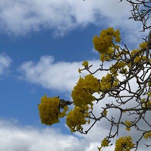 Meet your Posher, JG